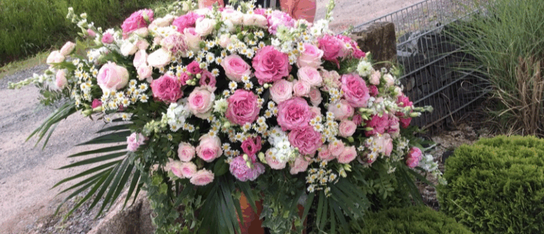 image (1)